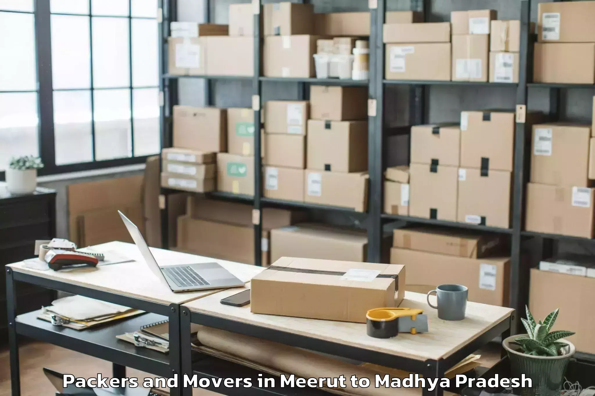 Book Meerut to Narwar Packers And Movers